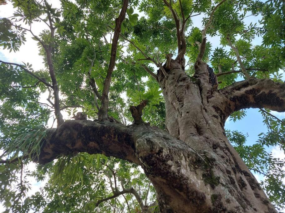 Havre De Verdure 2 Personnes Entre-Deux Ngoại thất bức ảnh